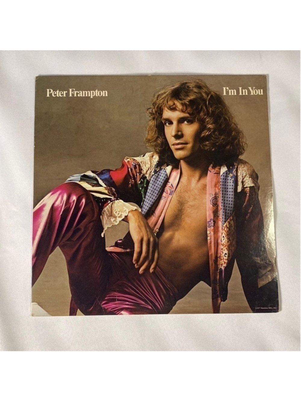 PETER FRAMPTON VINYL RECORD ✨✨✨